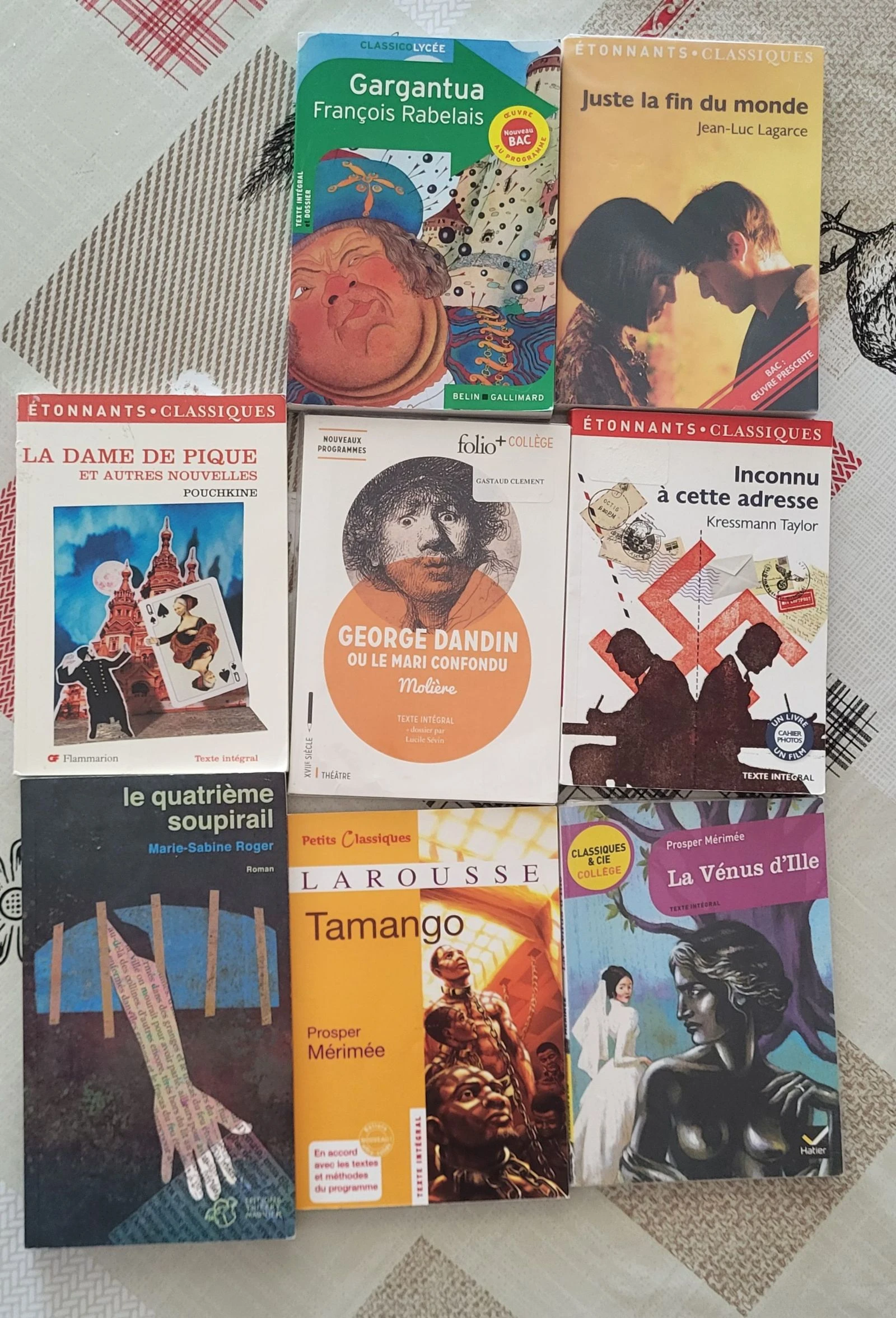 Lote de 8 livros/Obras do Programa Escolar – photo 2